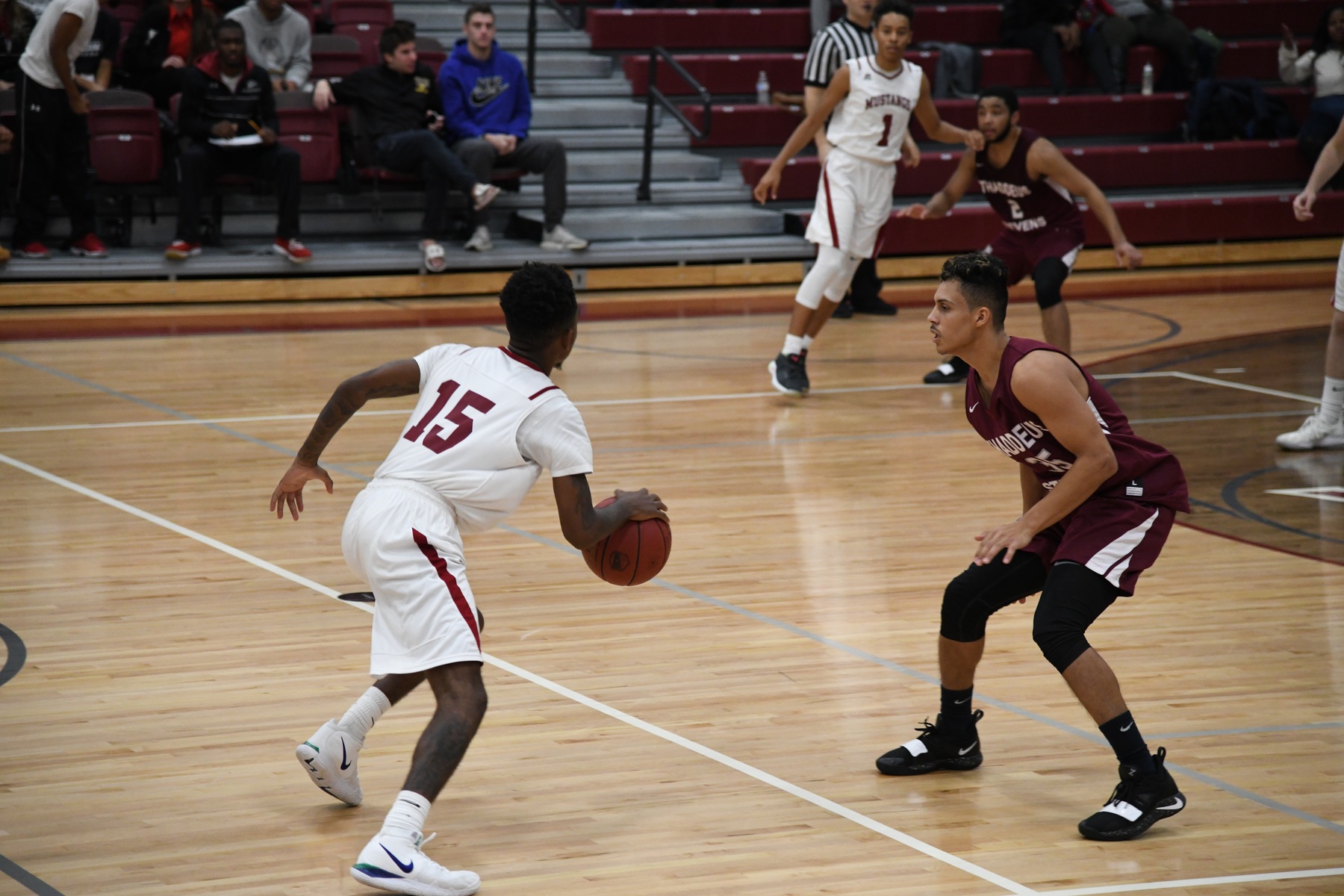 Men's Basketball 2018-19 vs. Stevens
