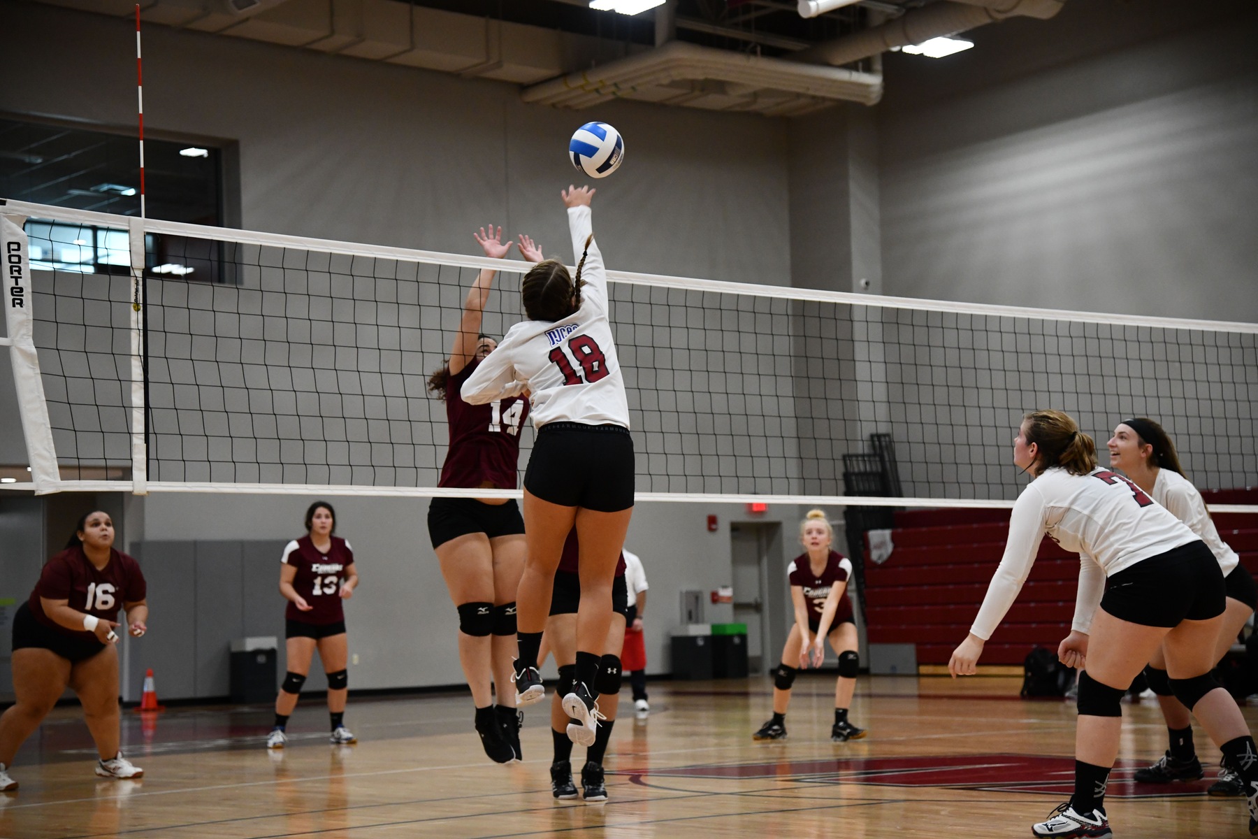 Volleyball 2018 vs. Lehigh Carbon