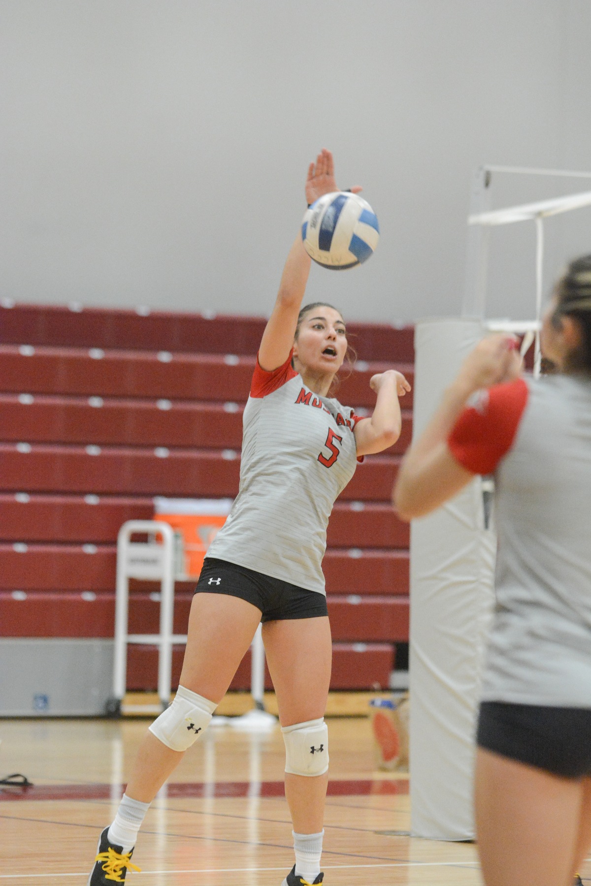 HACC Takes Season Series Off Of Volleyball