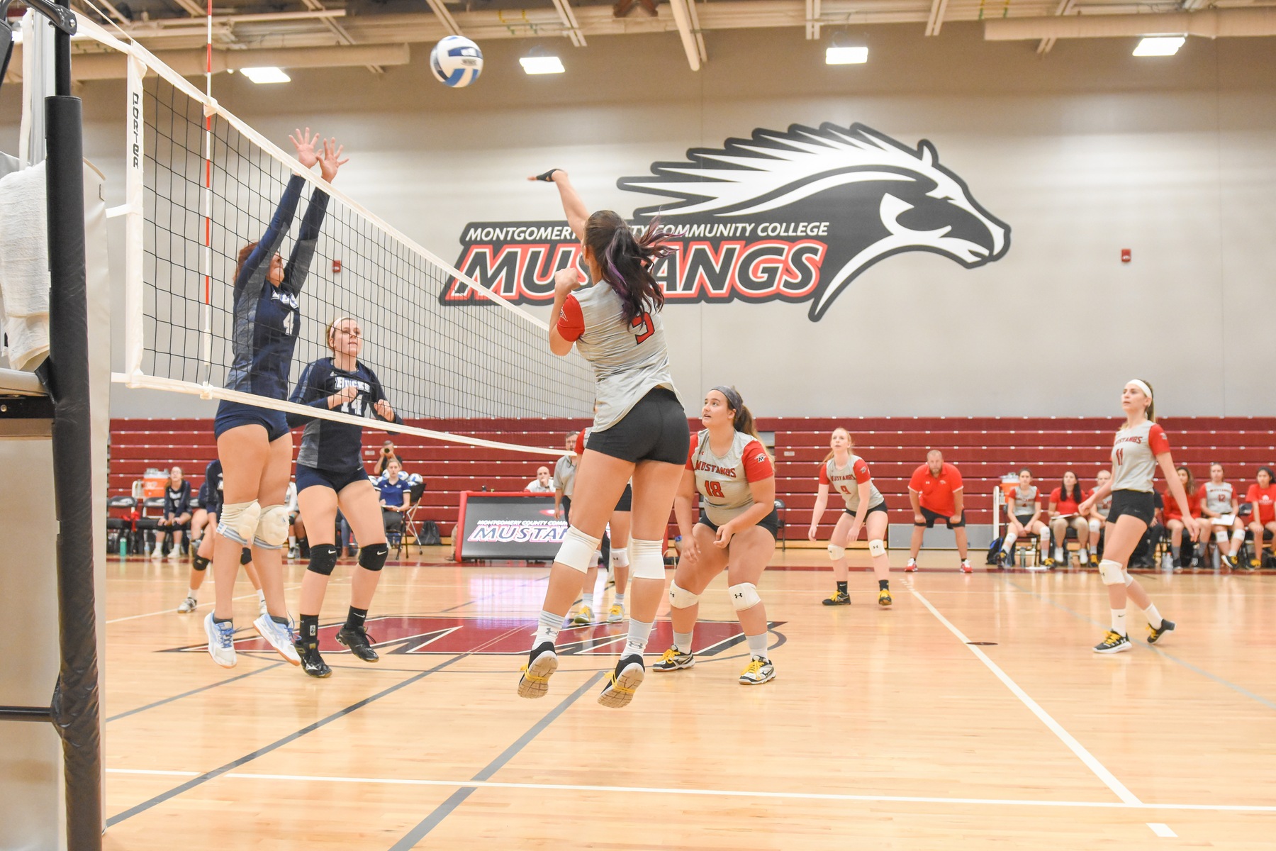 Volleyball Outlasts Lackawanna in Insane 5-set Match